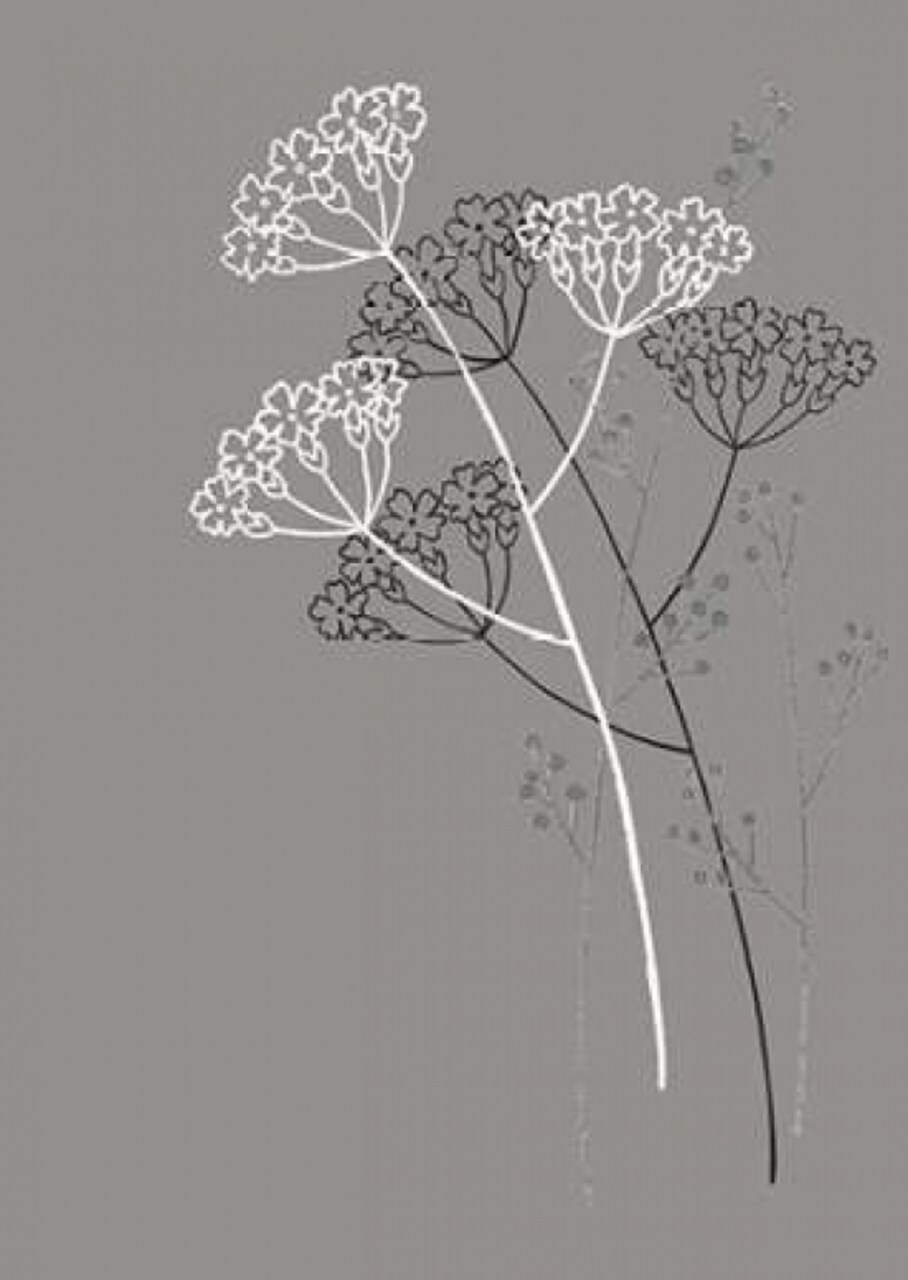 Elementary II Poster Print by Design Show - Item # VARPDX49197